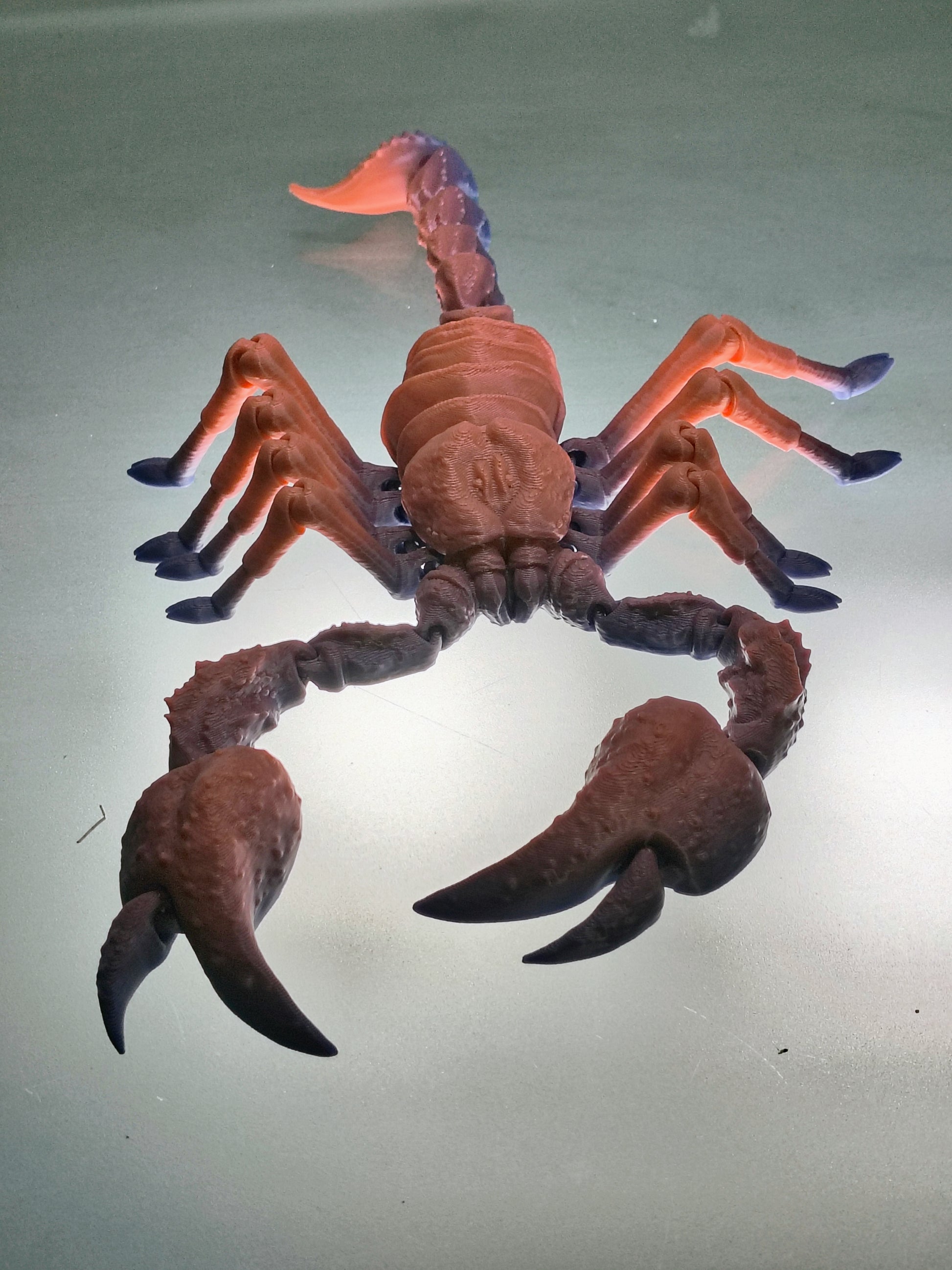 Articulated Emperor Scorpion