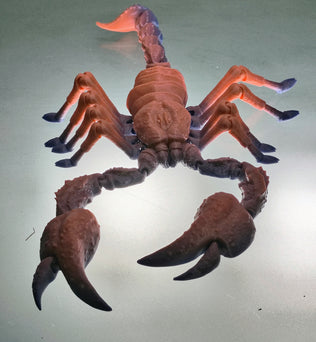 Articulated Emperor Scorpion