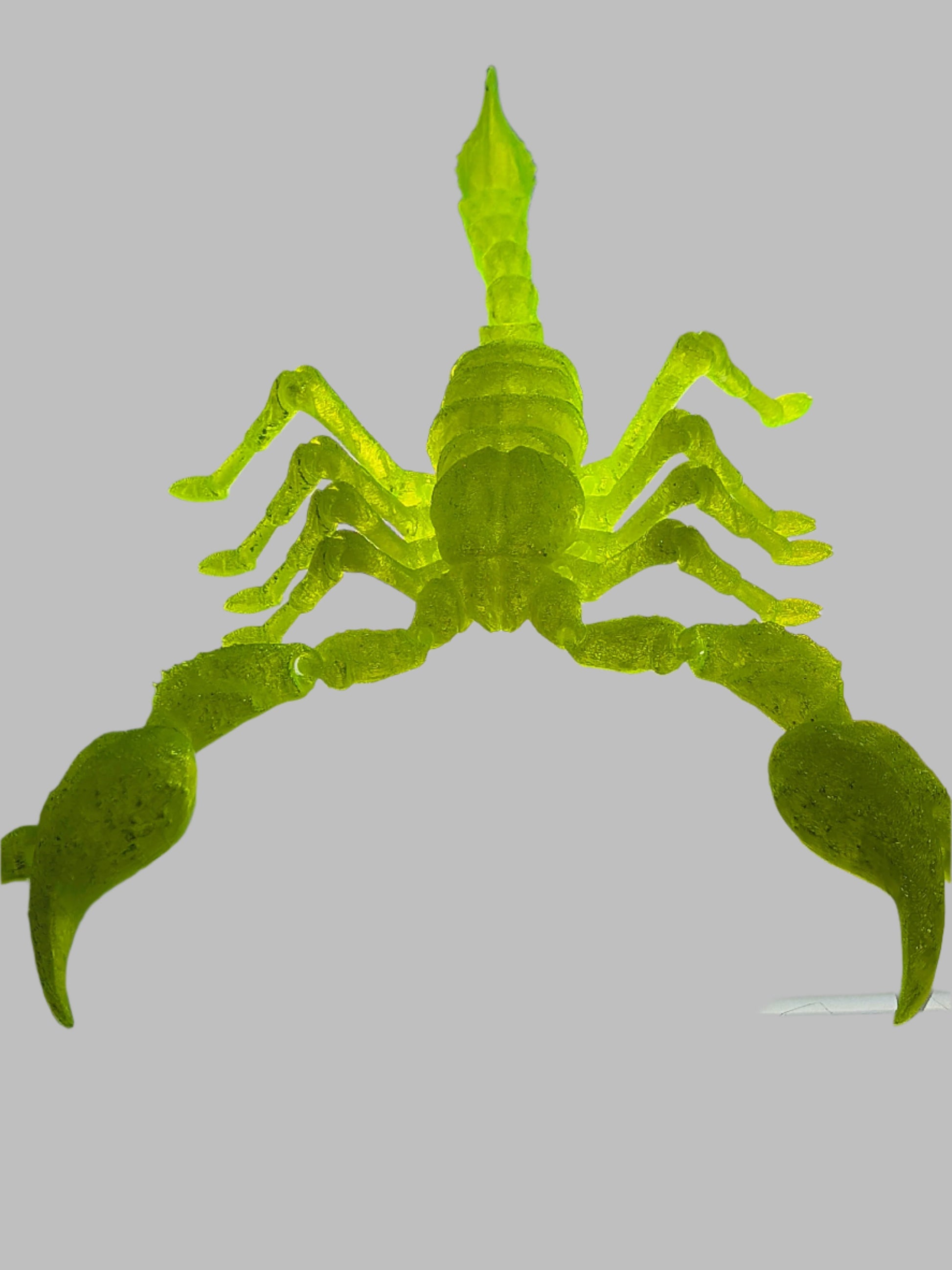 Articulated Emperor Scorpion