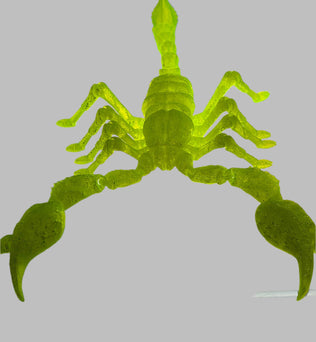 Articulated Emperor Scorpion