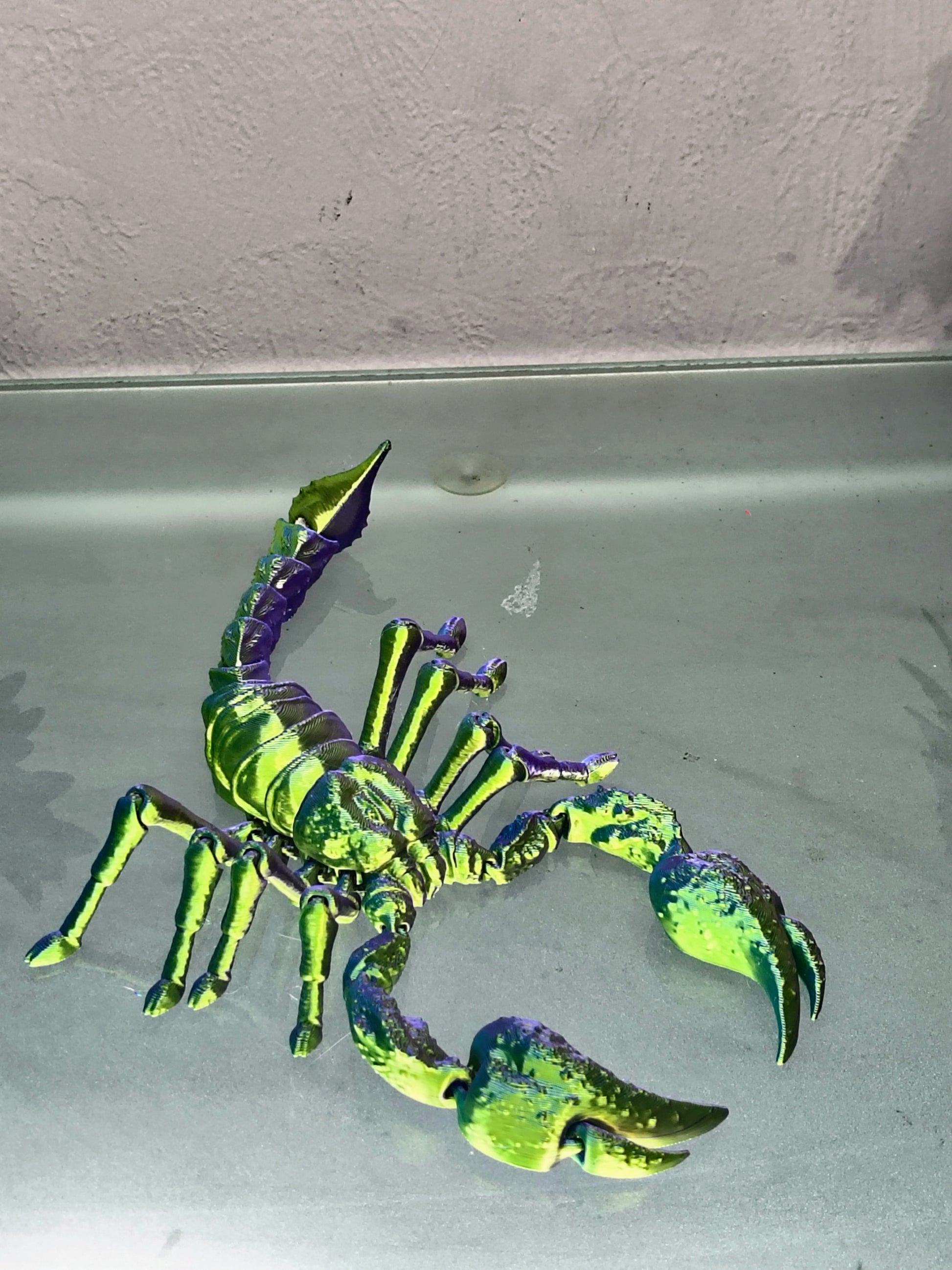 Articulated Emperor Scorpion